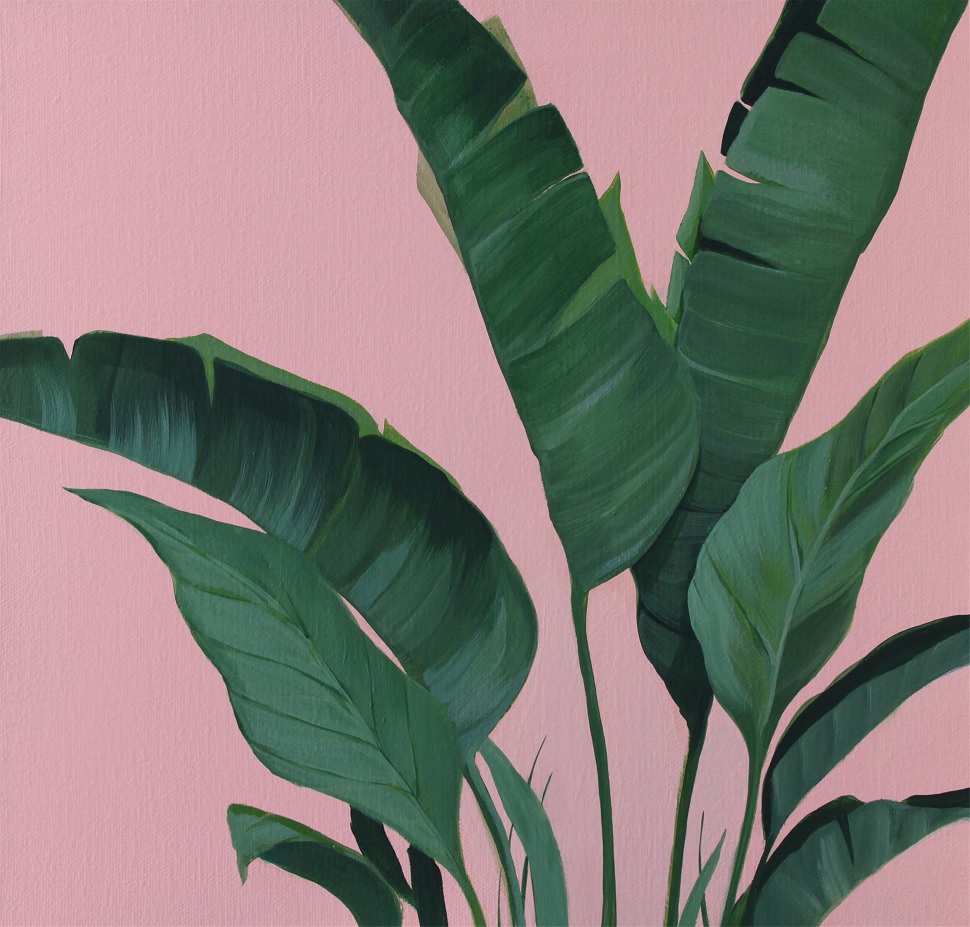 황다연, Pink plant, 캔버스에 과슈 아크릴, 31.8x31.6cm, 2016