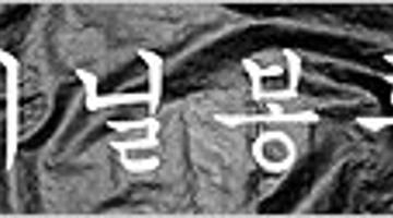 MICA KOREA 2005: “비닐봉투”