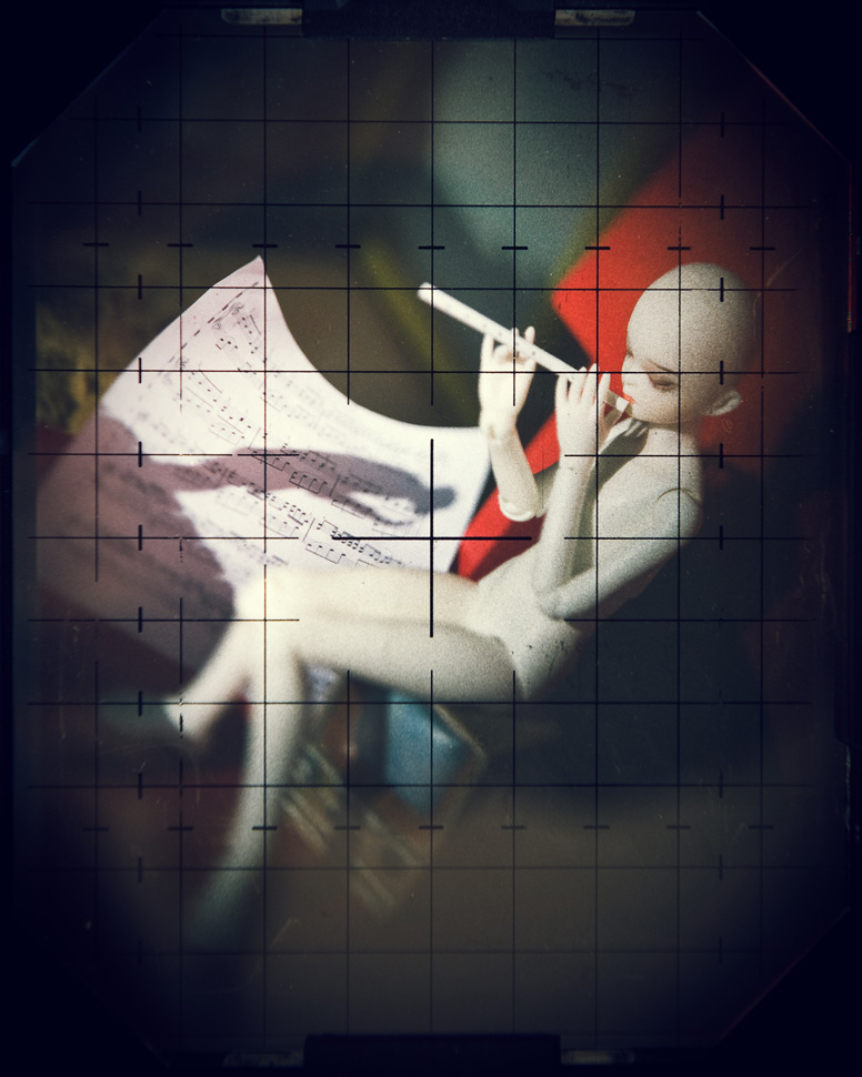 101586, 〈Still Lives: Neighbors〉