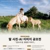 제28회 말 사진·AI 이미지 공모전 「찰나의 말, 영원한 이야기」(~10/31)