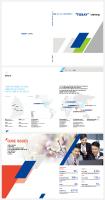 Toray_Sustainability Report_01