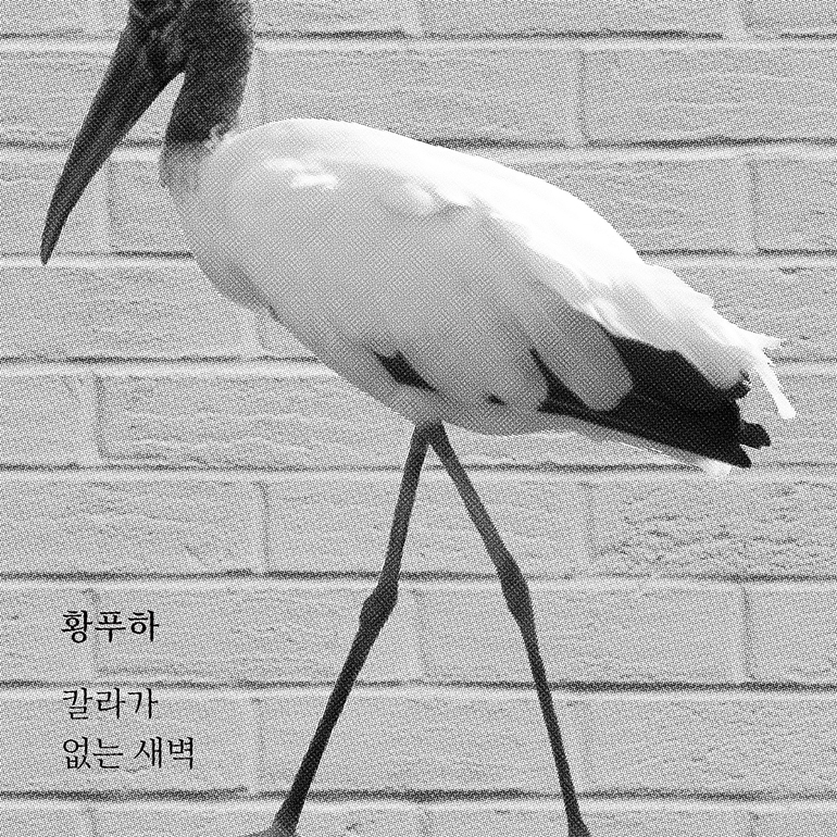 황푸하 정규1집, b컷, 2016