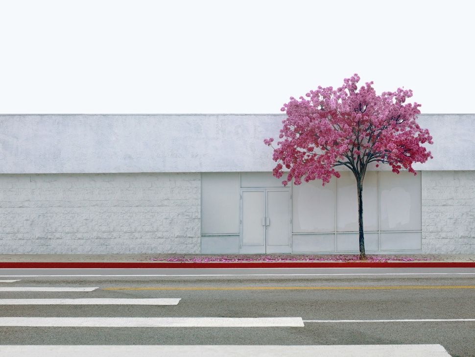 Griffith Park Boulevard, 2015, 125x158.3cm, archival pigment print, ed. of 7