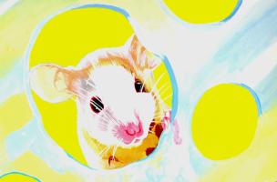 Illust14