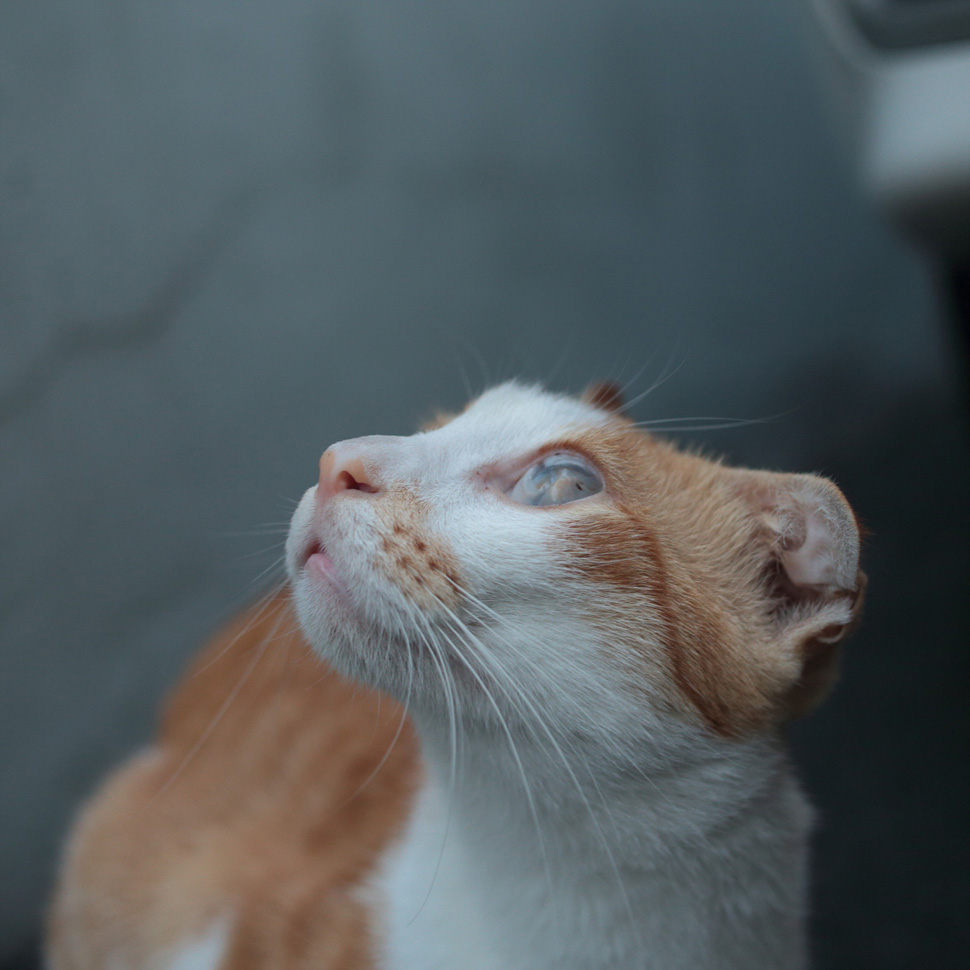 ©김하연
