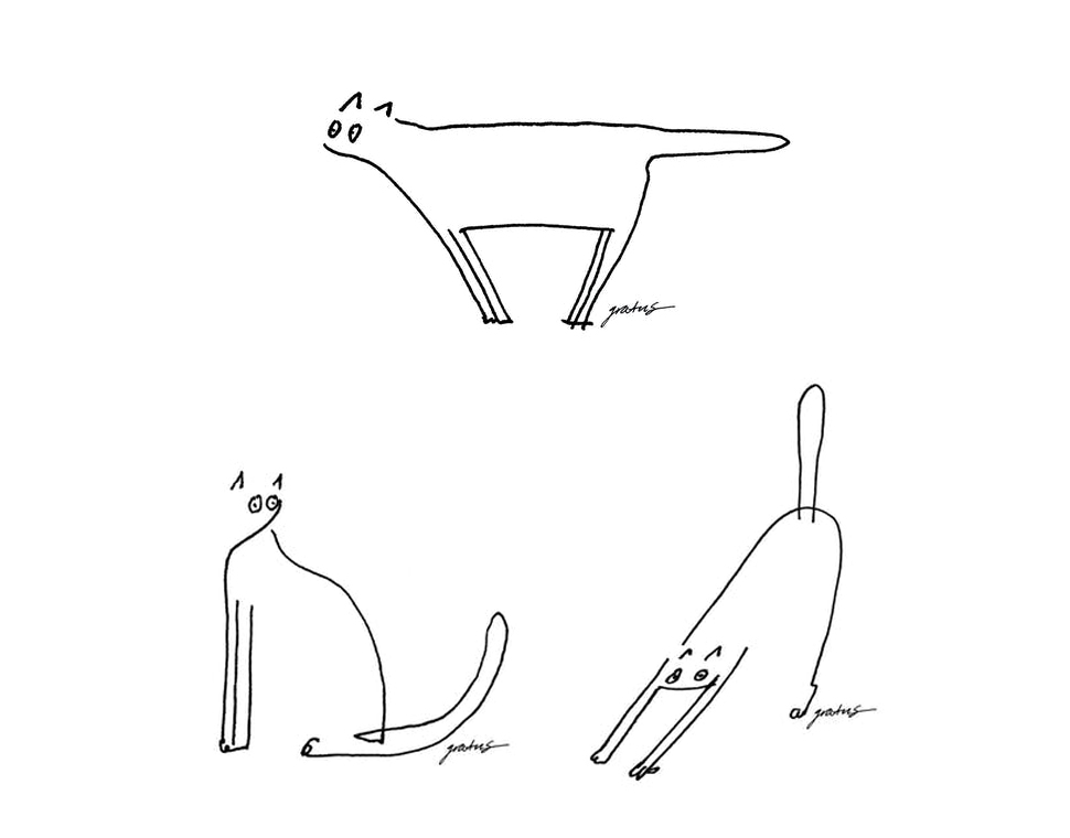 점과 선으로만 이루어진 고양이 일러스트는 그라투스의 유리나 그래픽 디자이너의 작품이다. 경계심이 많은 고양이들이 도망치기 전 마주치는 눈에 인상을 받아 동그랗고 놀란 눈을 포인트로 삼았다.