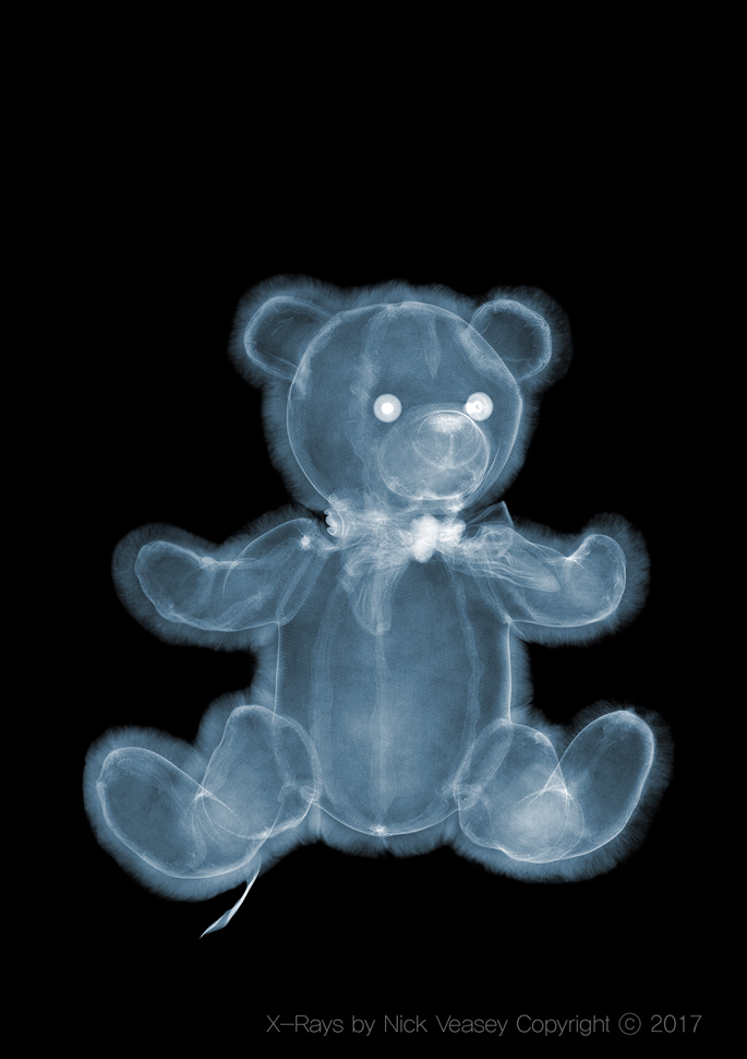 〈Fluffy Teddy Bear〉, 2008 ©Nick Veasey