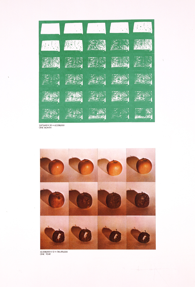 하기와라 사쿠미, 〈하나-3〉, 1976, 실크스크린, 110×79cm