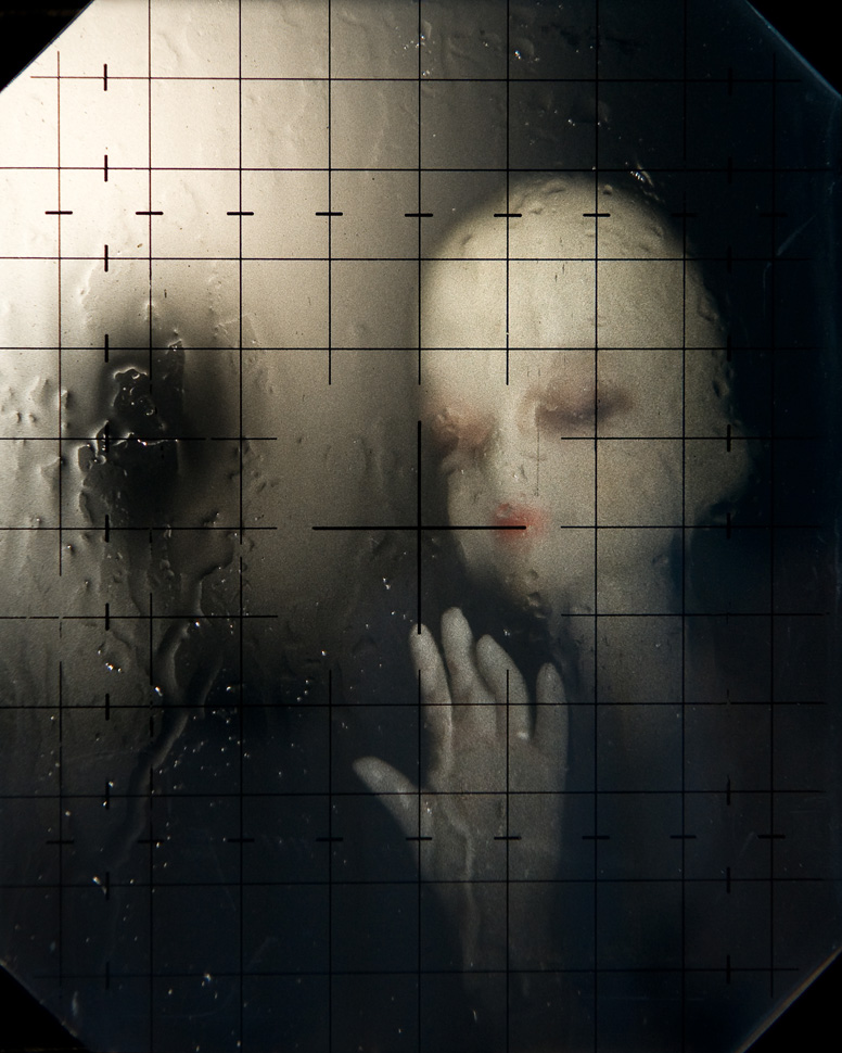 102464, 〈Still Lives: Neighbors〉