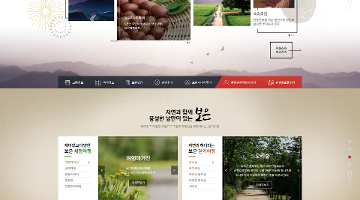 보은문화관광