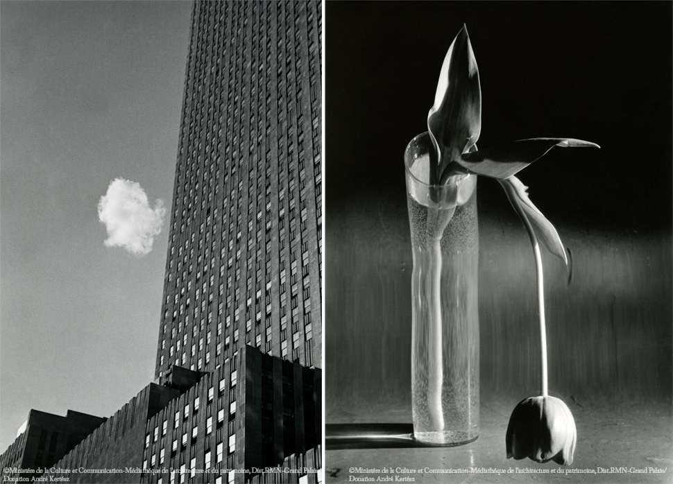 〈길 잃은 구름, 뉴욕(Lost Cloud, New York)〉, 1937(좌), 〈우울한 튤립, 뉴욕(Melancholic Tulip, New Youk)〉, 1939(우) - 건물과 부딪칠 것 같은 구름, 축 처진 튤립은 뉴욕 시절 길을 잃고 고독했던 작가 본인의 모습을 비유적으로 표현한 것이다.