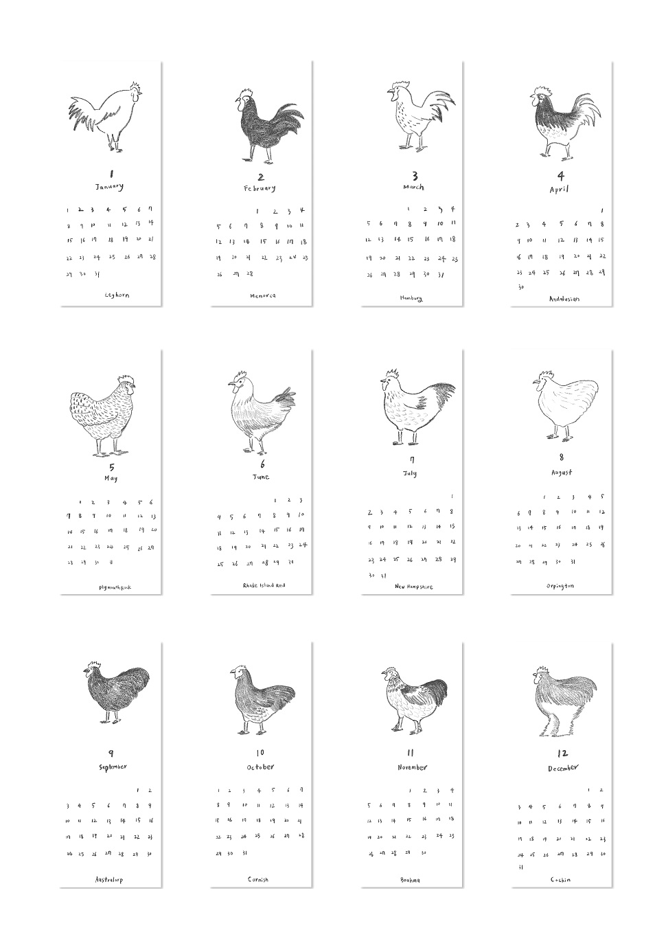 <Chicken Calendar for 2017>, 205mm x 80mm, 종이, 12,000원