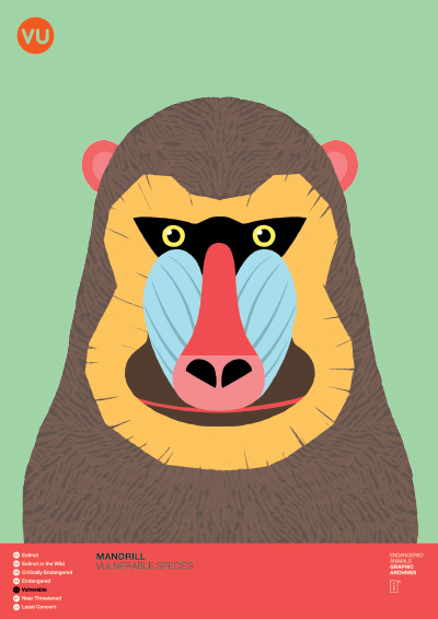 성실화랑 멸종위기동물 프로젝트의 첫 번째 주인공인 맨드릴 원숭이는 취약종VU(Vulnerable)으로 분류된다. 