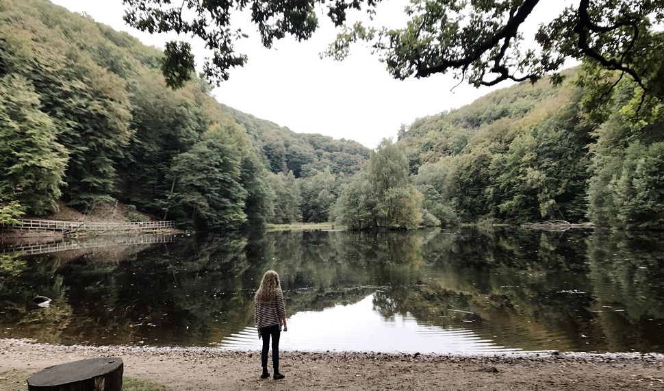 스웨덴 남부. 소더라센 국립공원  / Soderasen National Park, Skane, Sweden. 2017